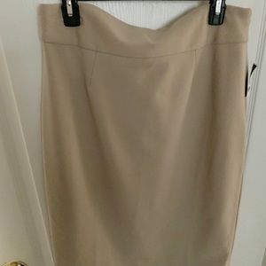 Ladies Skirt